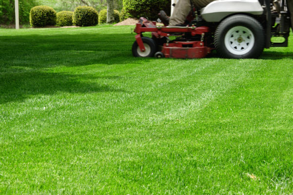 lawn mowing service MN